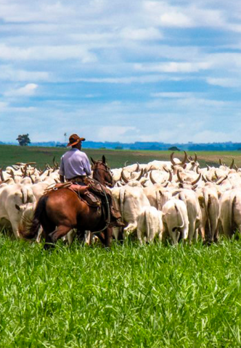 brav-rural-agro